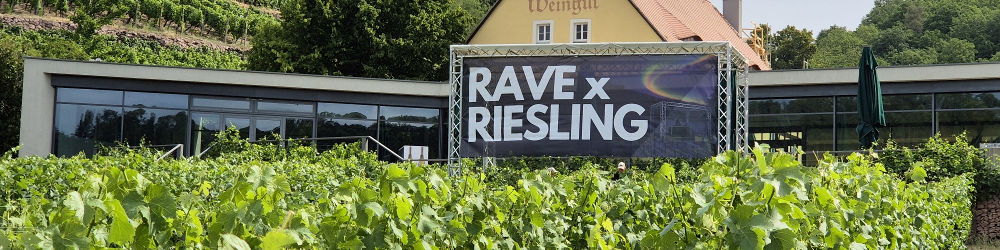 Tag des offenen Weingut